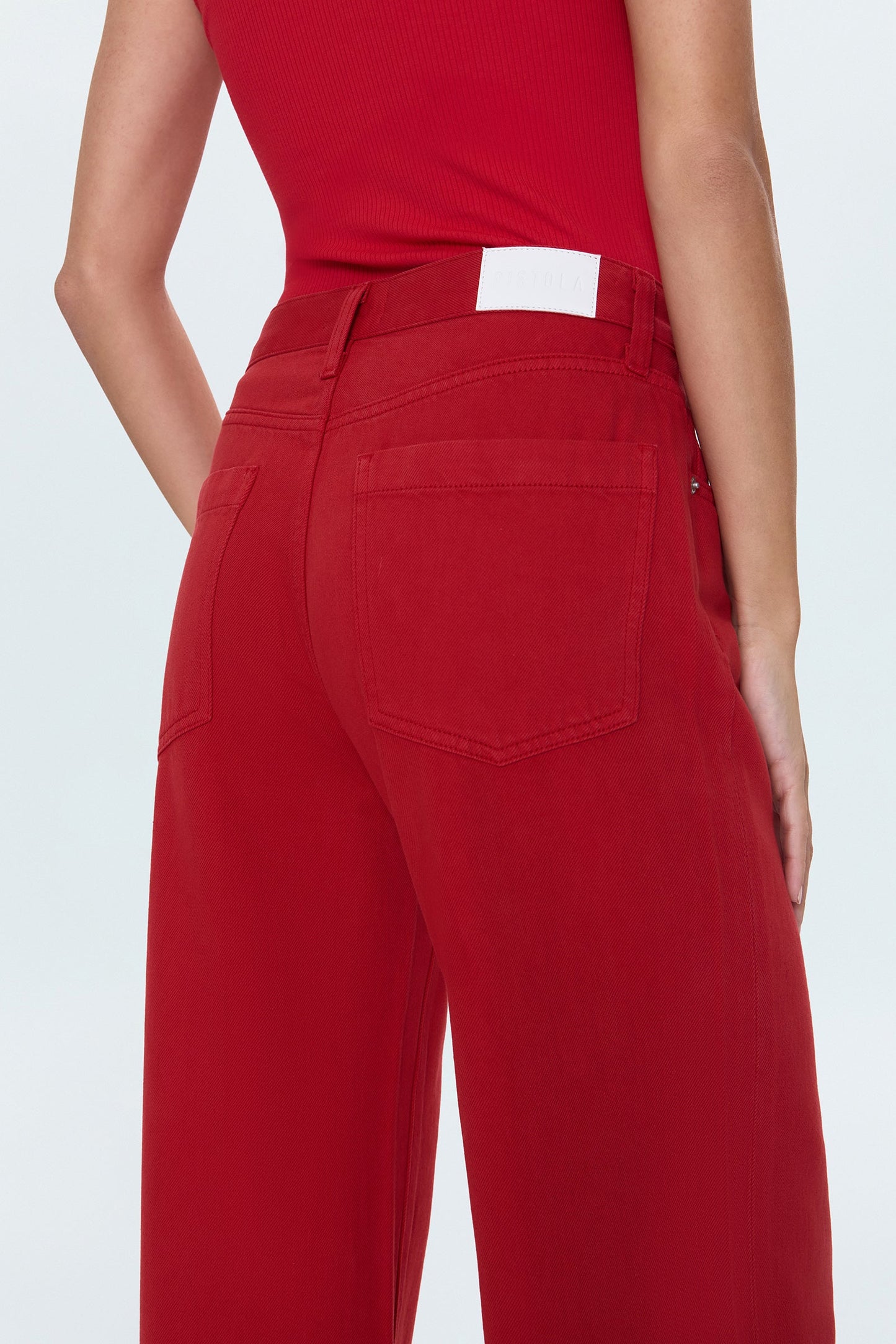 Jadyn Low Slung Palazzo Jean - Samba
